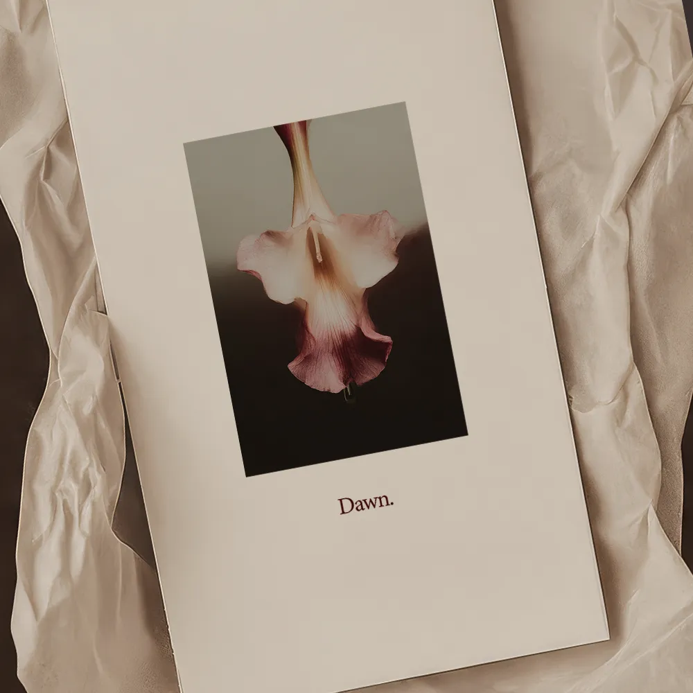 Minimalist Digital Backdrops for social media